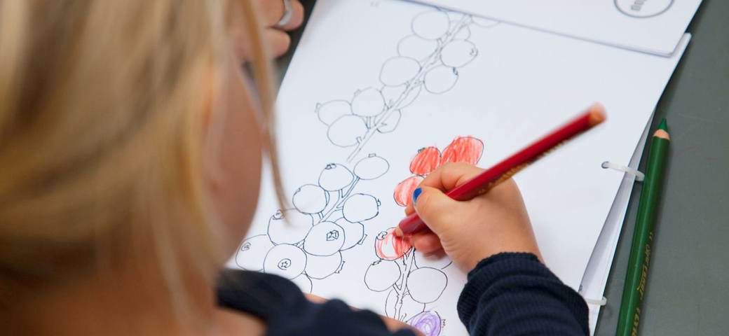 Barn farvelægger tegning af bær